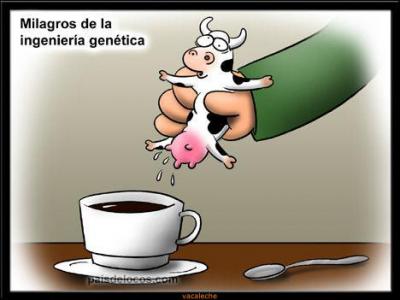 20071218184314-vacaleche.jpg